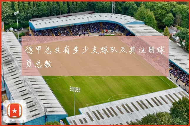 德甲总共有多少支球队及其注册球员总数