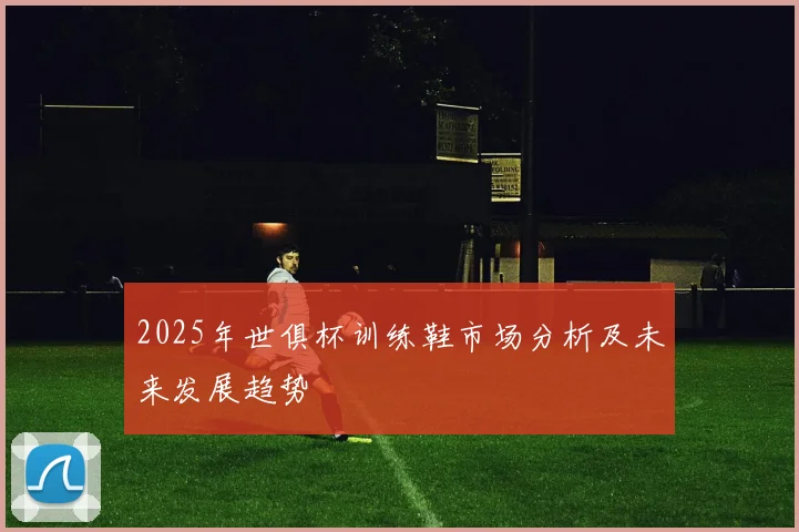2025年世俱杯训练鞋市场分析及未来发展趋势