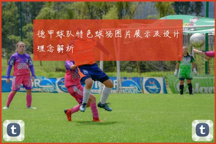 德甲球队特色球场图片展示及设计理念解析
